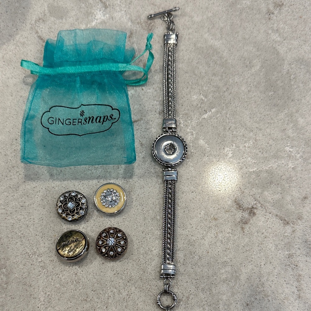 Ginger Snaps Silver Bracelet with 4 Interchangeable Snaps